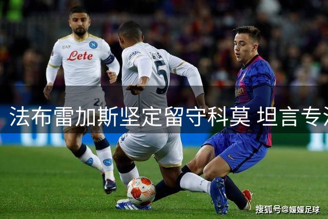 法布雷加斯坚定留守科莫 坦言专注培育球队潜力
