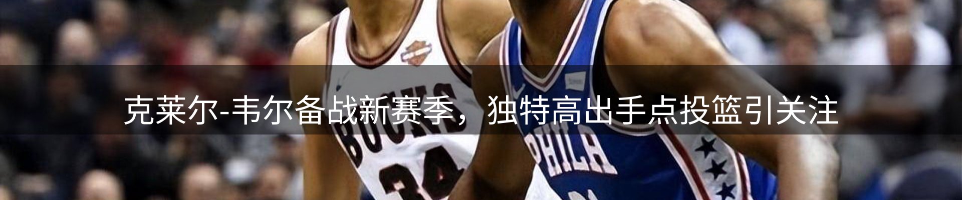网站资讯