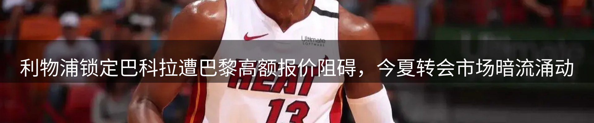 每日精选