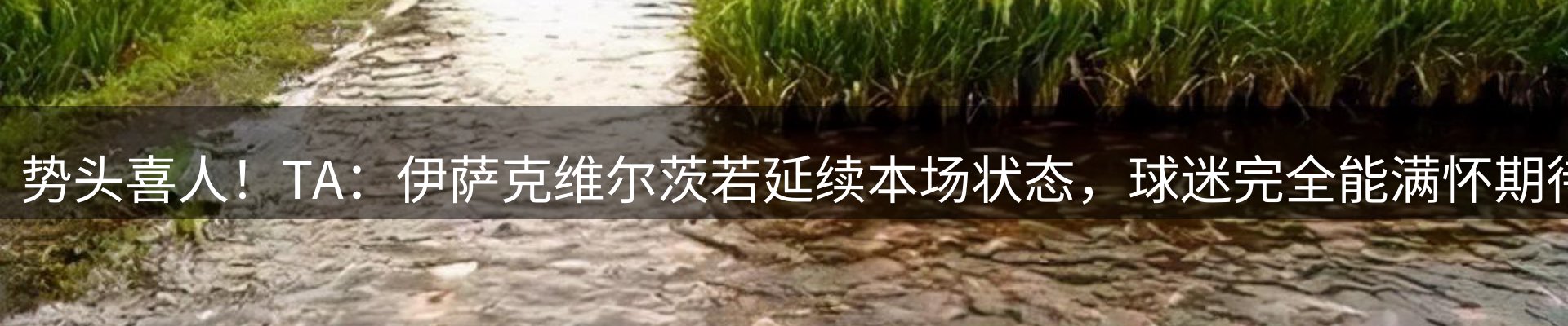 每日精选