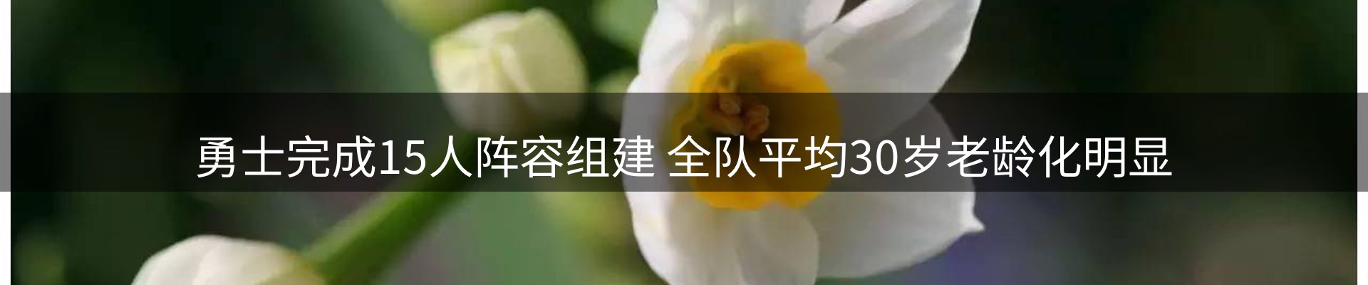 每日精选