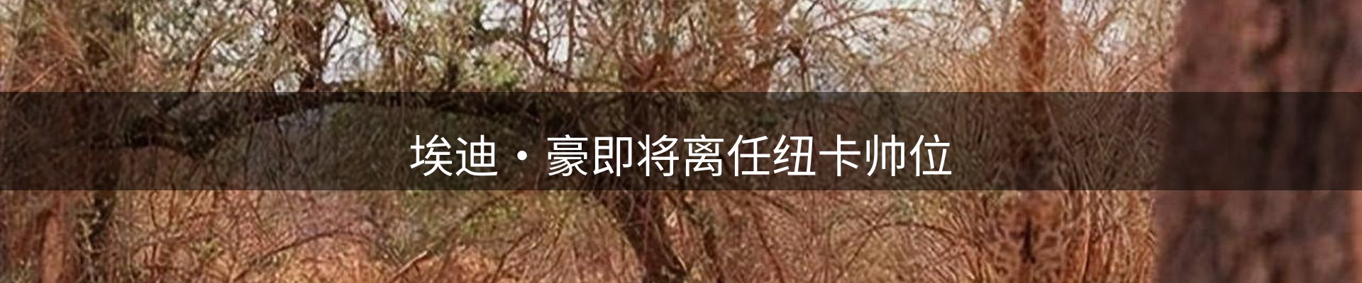 每日精选