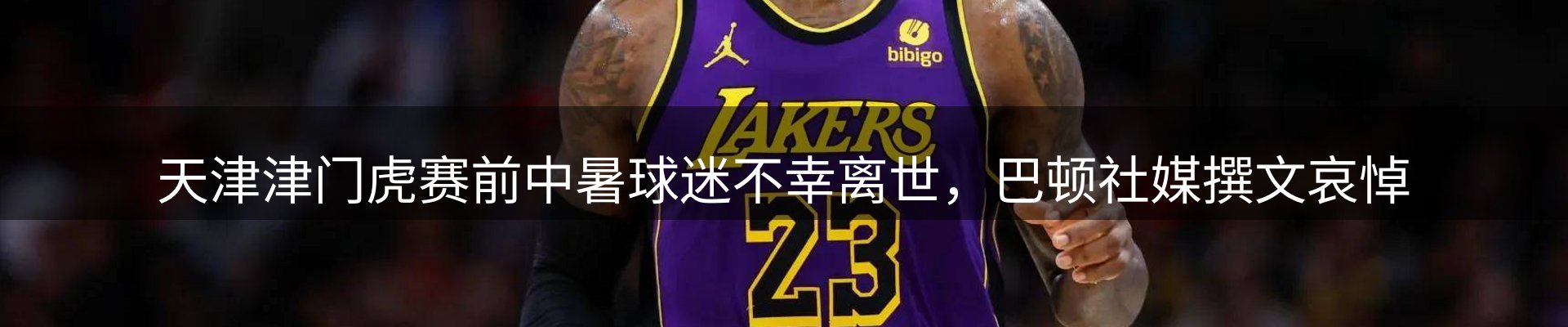 每日精选