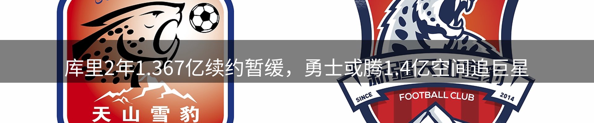 网站资讯