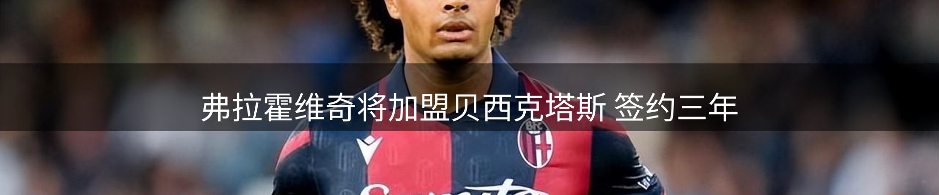 每日精选