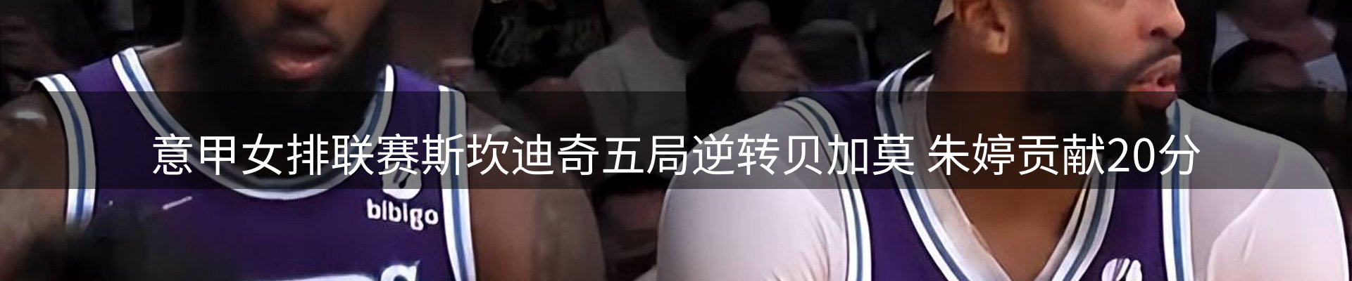 每日精选
