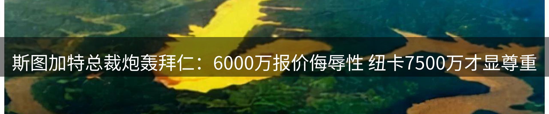 网站资讯