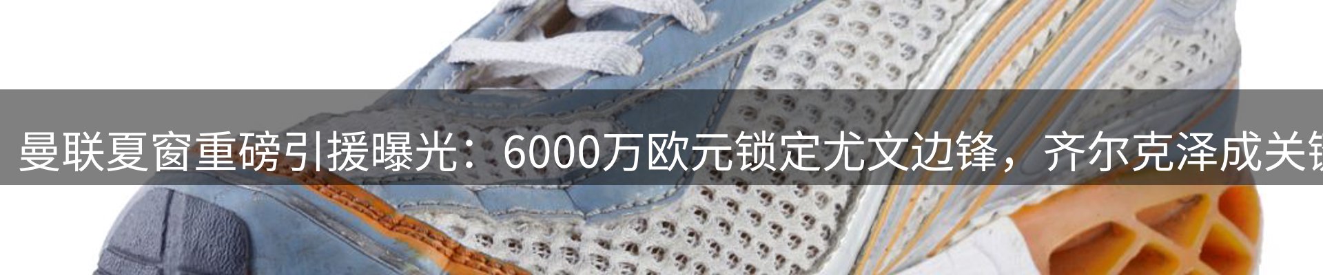 每日精选