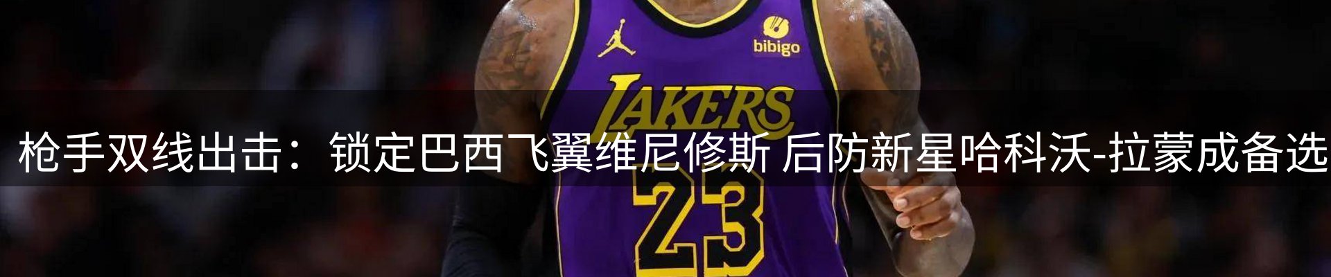 网站资讯