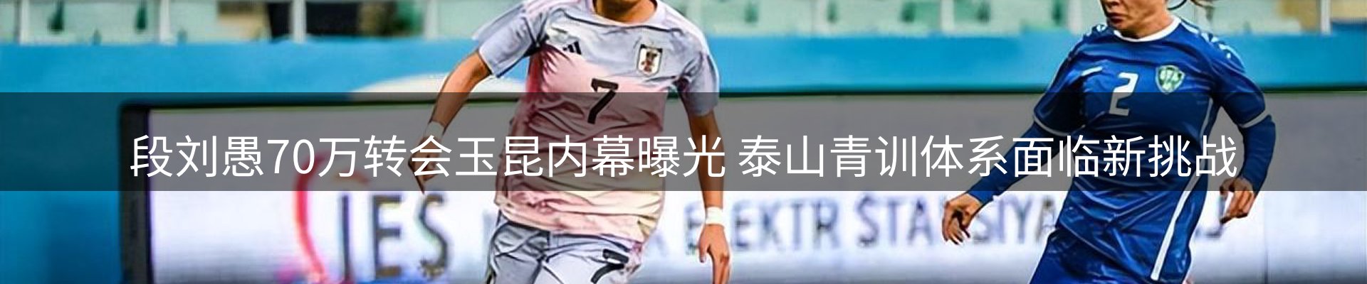 网站资讯