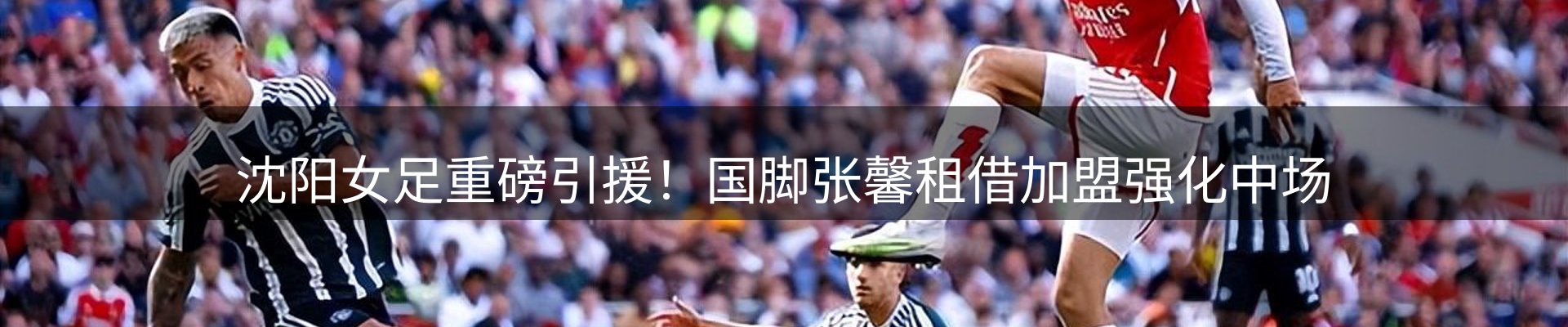 每日精选