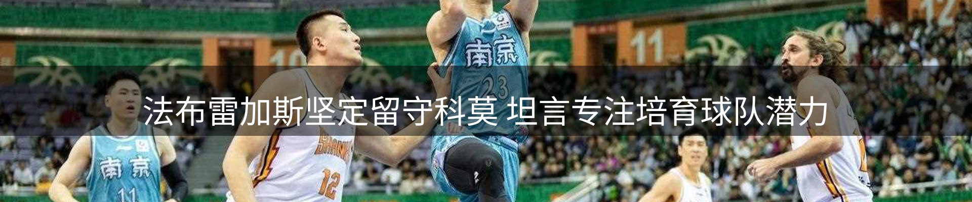 每日精选
