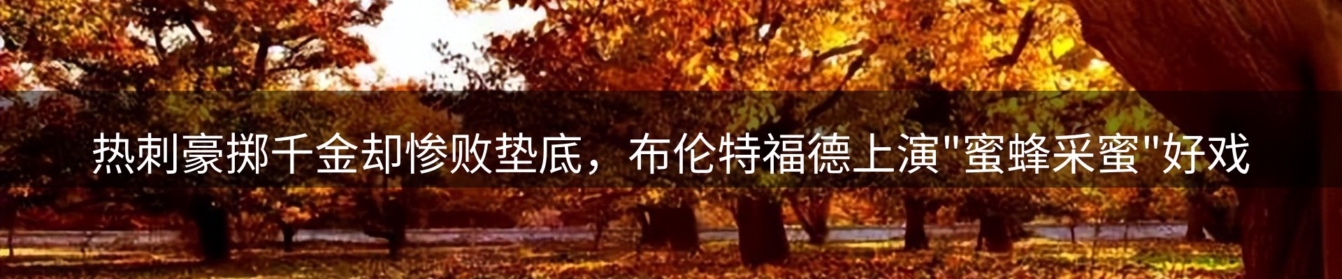 每日精选