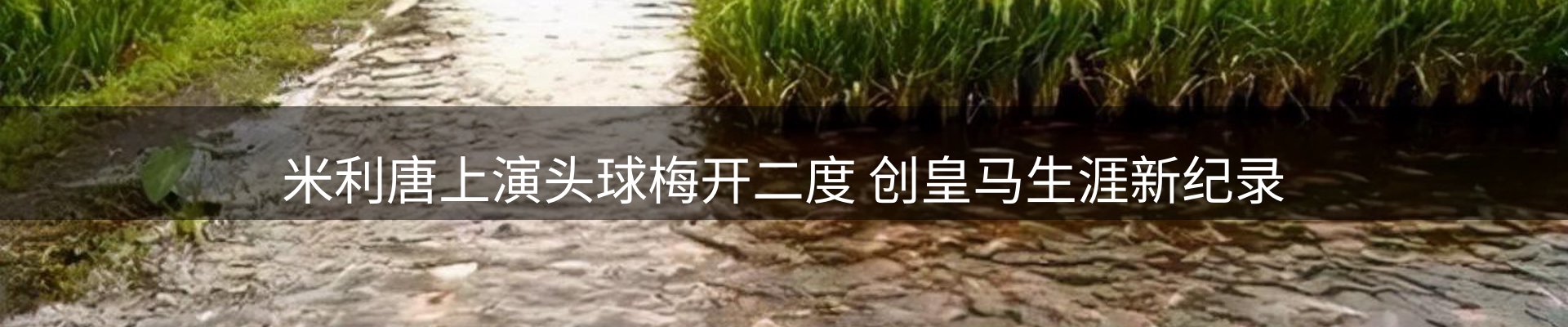 每日精选