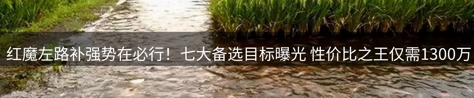 每日精选