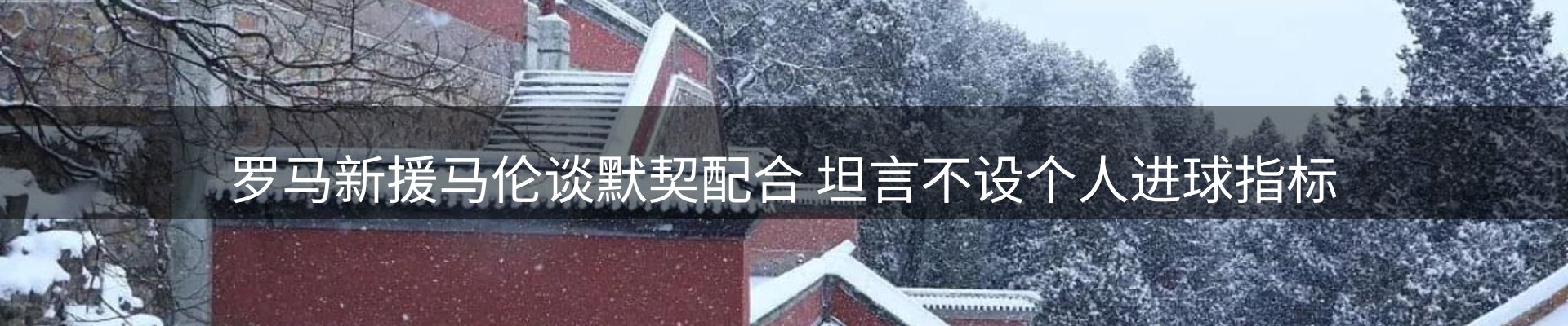 每日精选